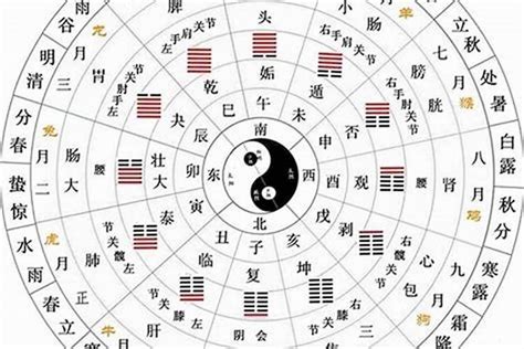 12天干地支|十二天干地支对照表 十天干和十二地支详解